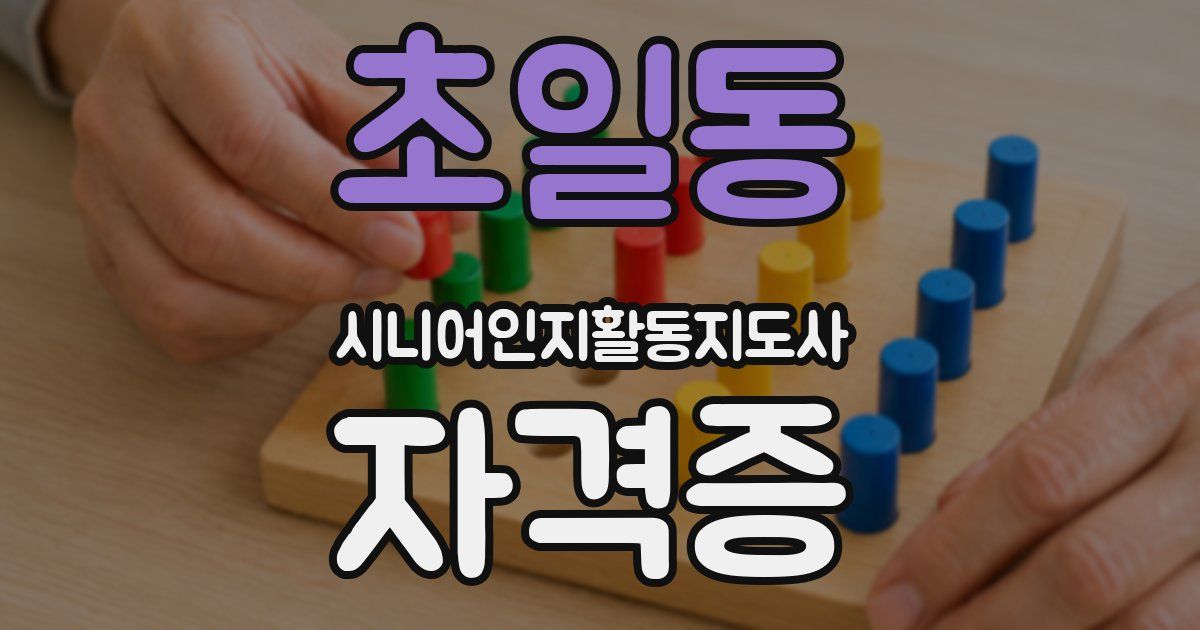 초일동 시니어인지활동지도사 자격증