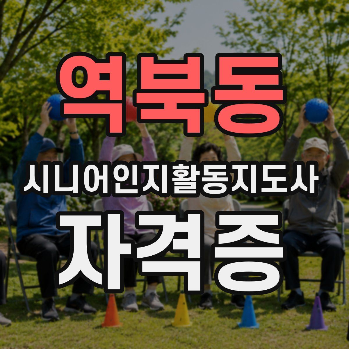 역북동 시니어인지활동지도사 자격증