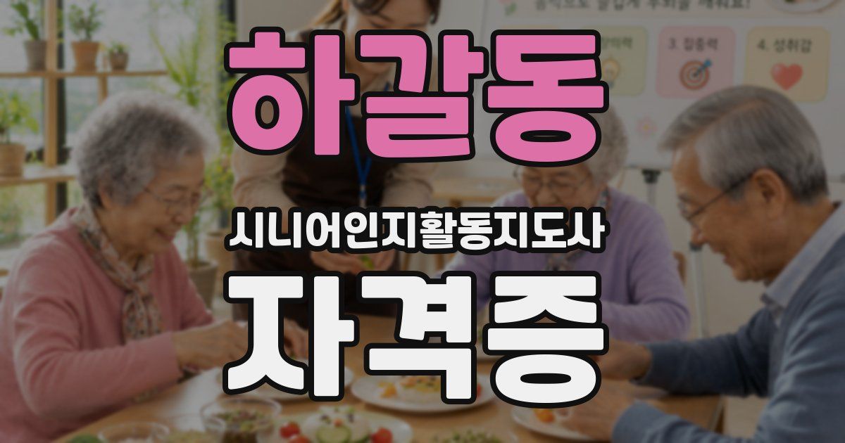 하갈동 시니어인지활동지도사 자격증