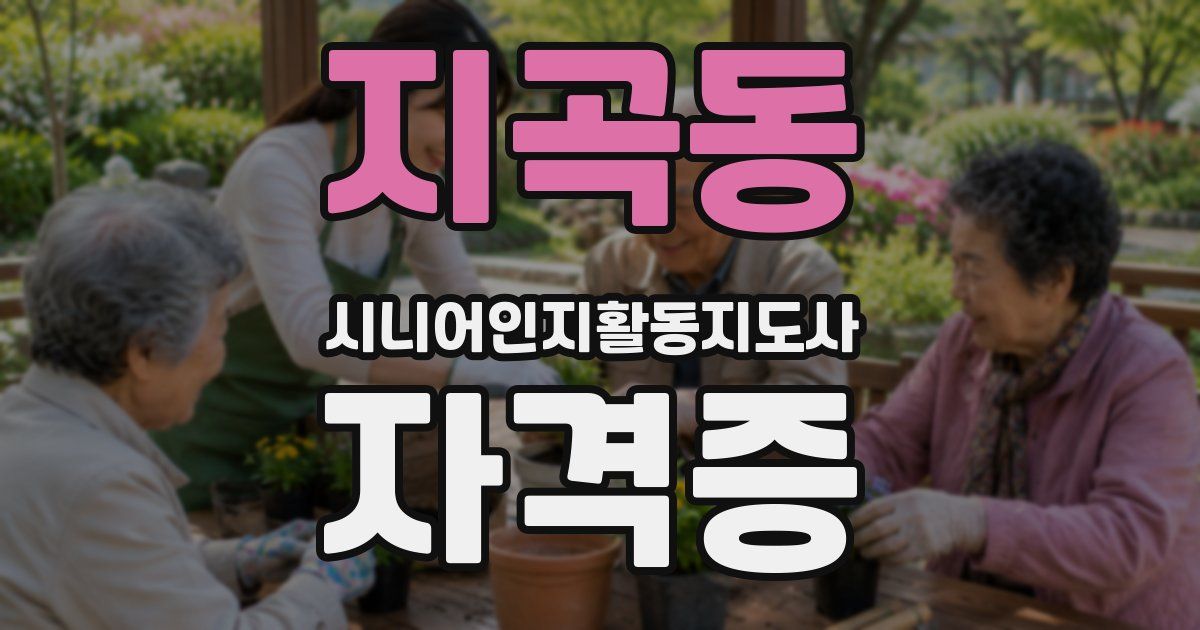 지곡동 시니어인지활동지도사 자격증