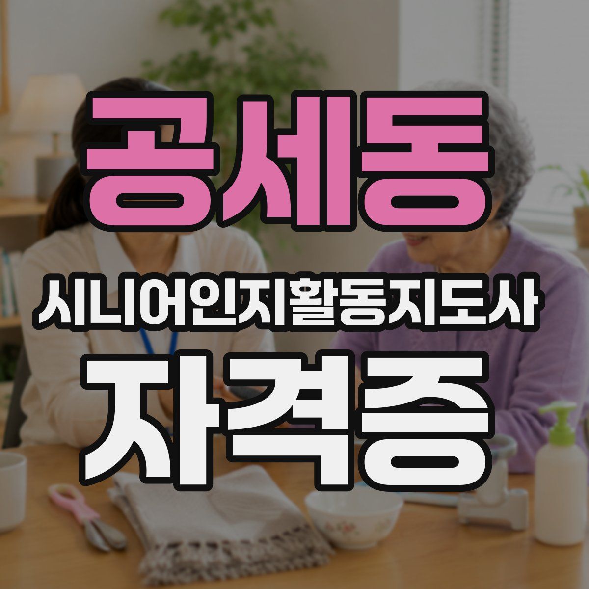 공세동 시니어인지활동지도사 자격증