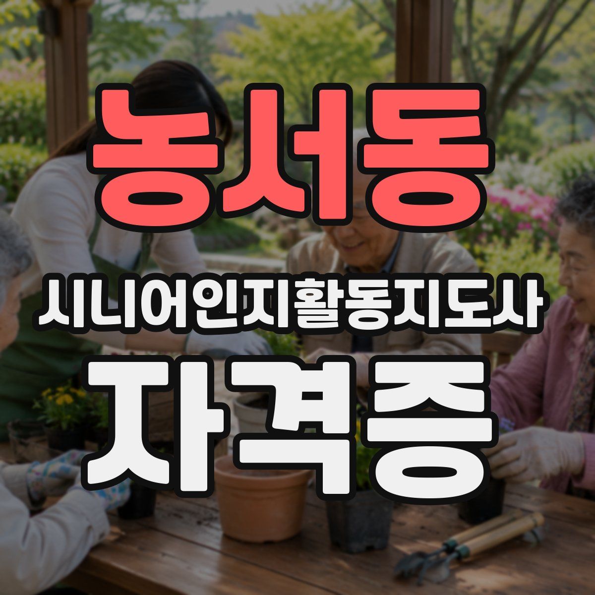 농서동 시니어인지활동지도사 자격증