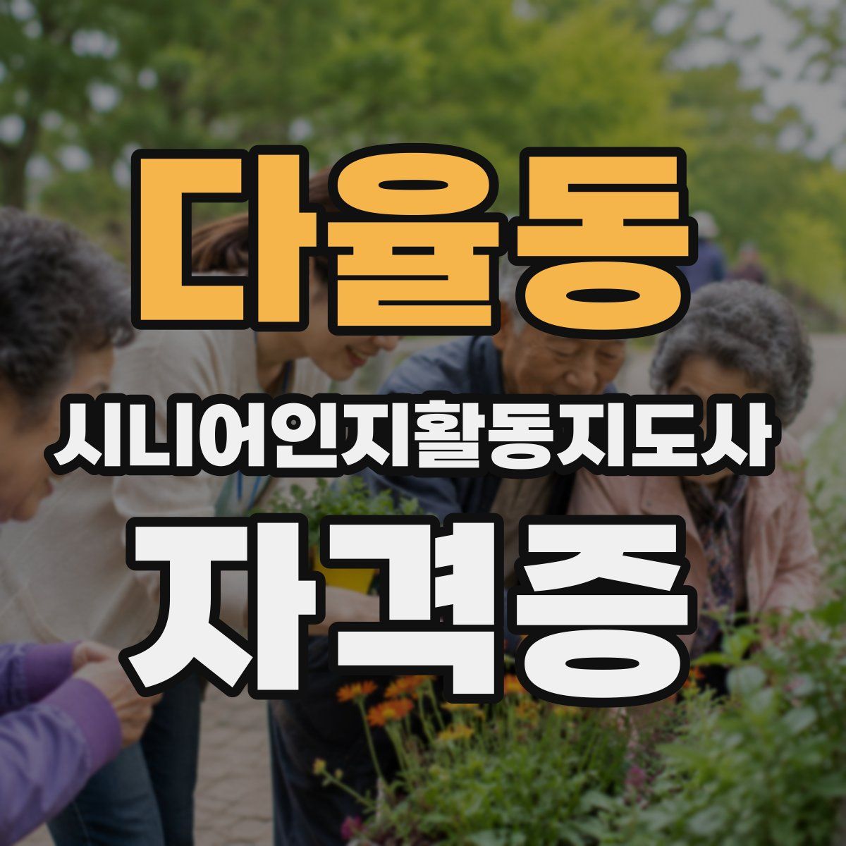 다율동 시니어인지활동지도사 자격증
