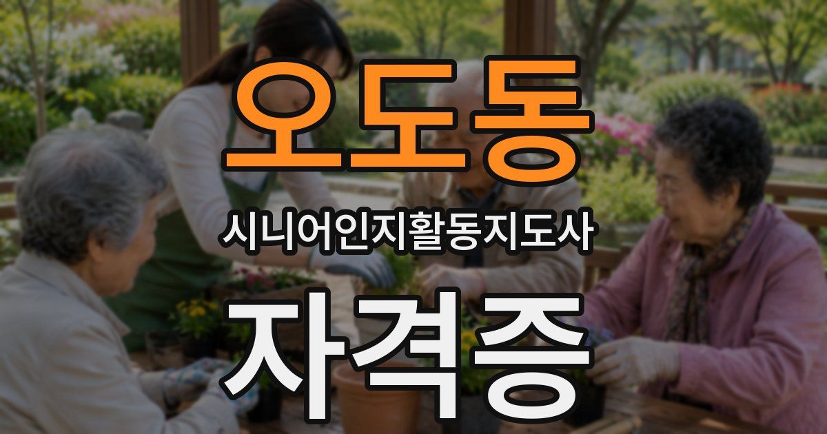 오도동 시니어인지활동지도사 자격증
