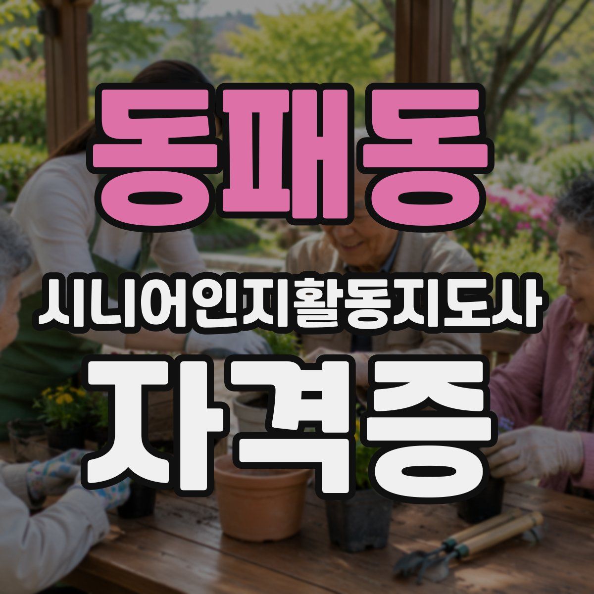 동패동 시니어인지활동지도사 자격증