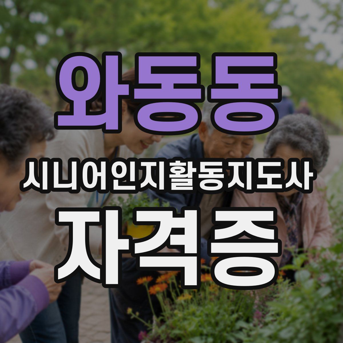 와동동 시니어인지활동지도사 자격증