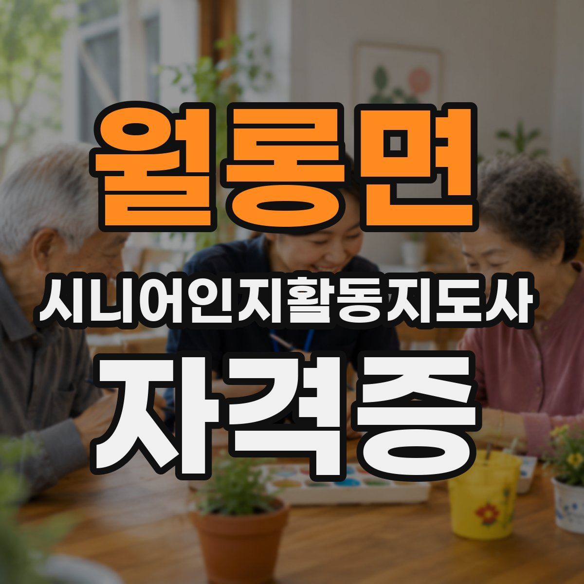 월롱면 시니어인지활동지도사 자격증