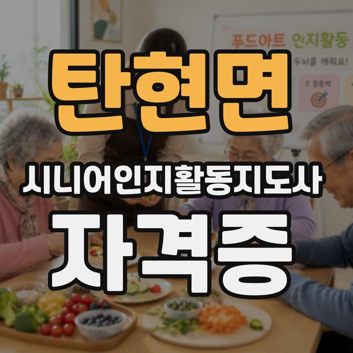 탄현면 시니어인지활동지도사 자격증