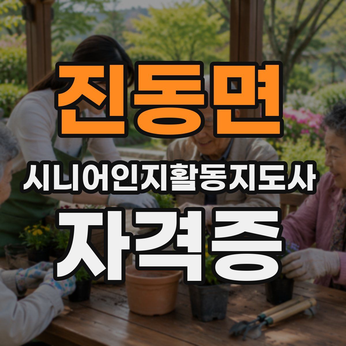 진동면 시니어인지활동지도사 자격증