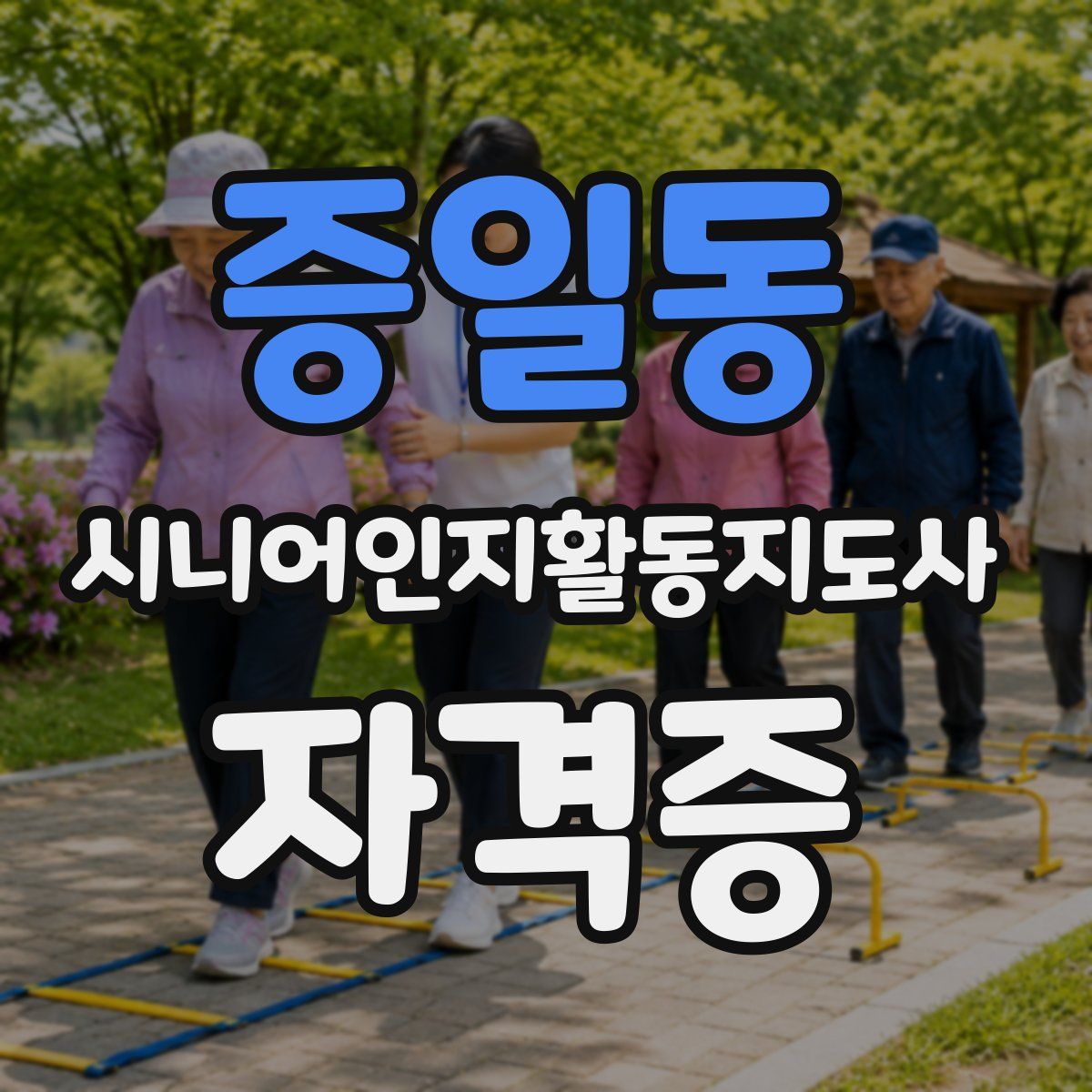 증일동 시니어인지활동지도사 자격증