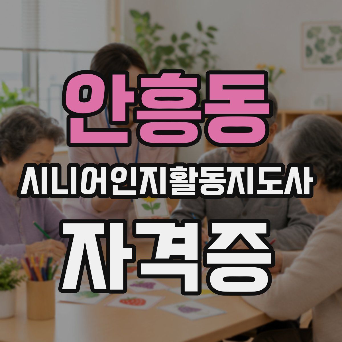 안흥동 시니어인지활동지도사 자격증