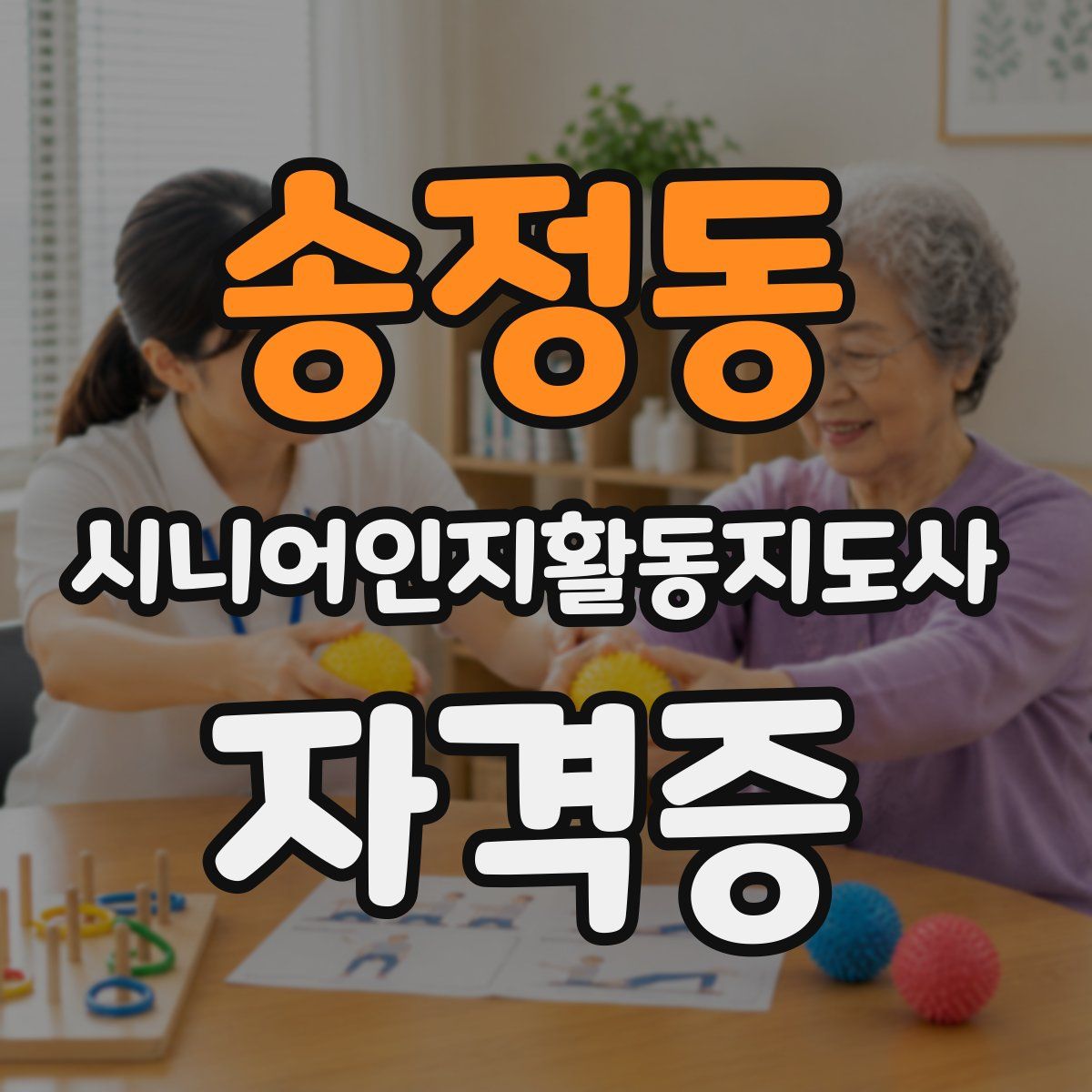 송정동 시니어인지활동지도사 자격증