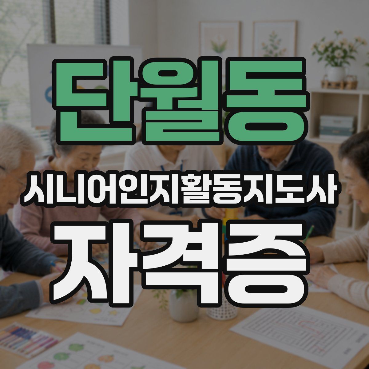 단월동 시니어인지활동지도사 자격증
