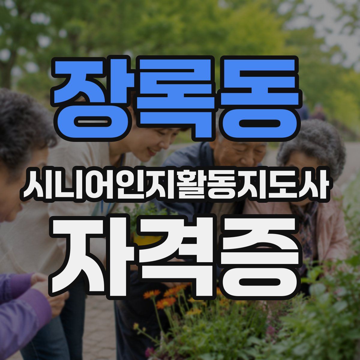 장록동 시니어인지활동지도사 자격증