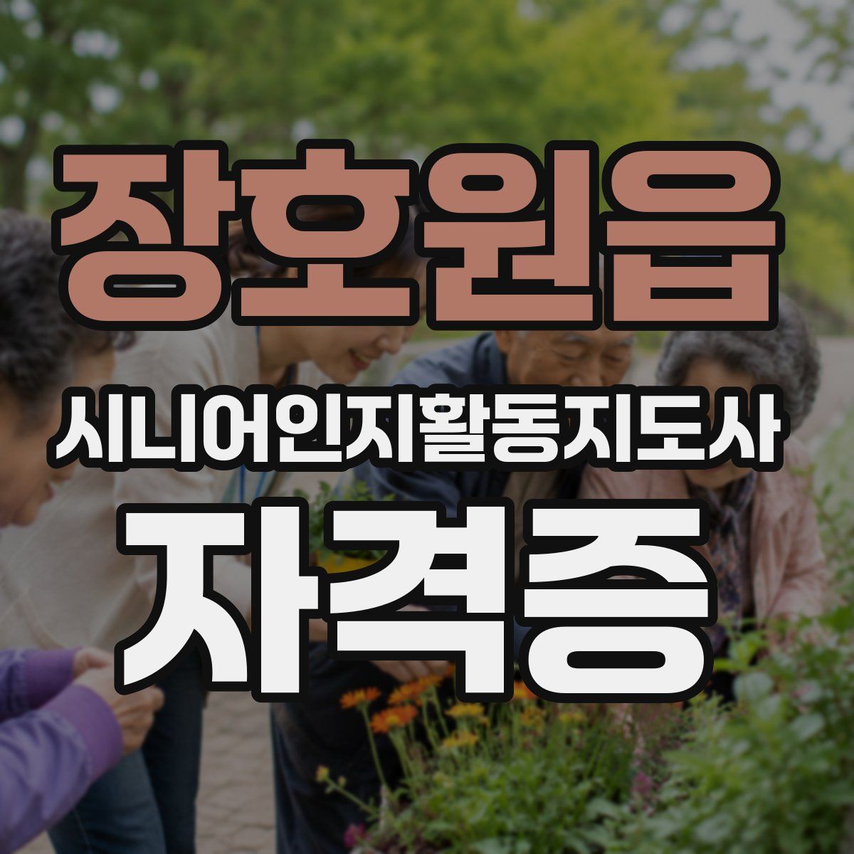 장호원읍 시니어인지활동지도사 자격증
