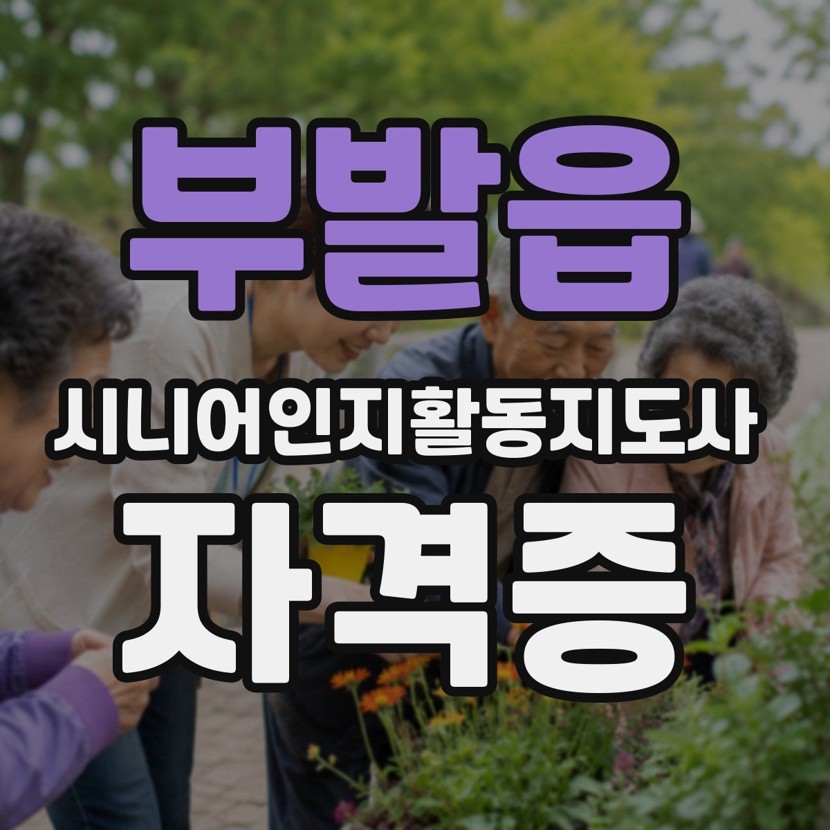 부발읍 시니어인지활동지도사 자격증