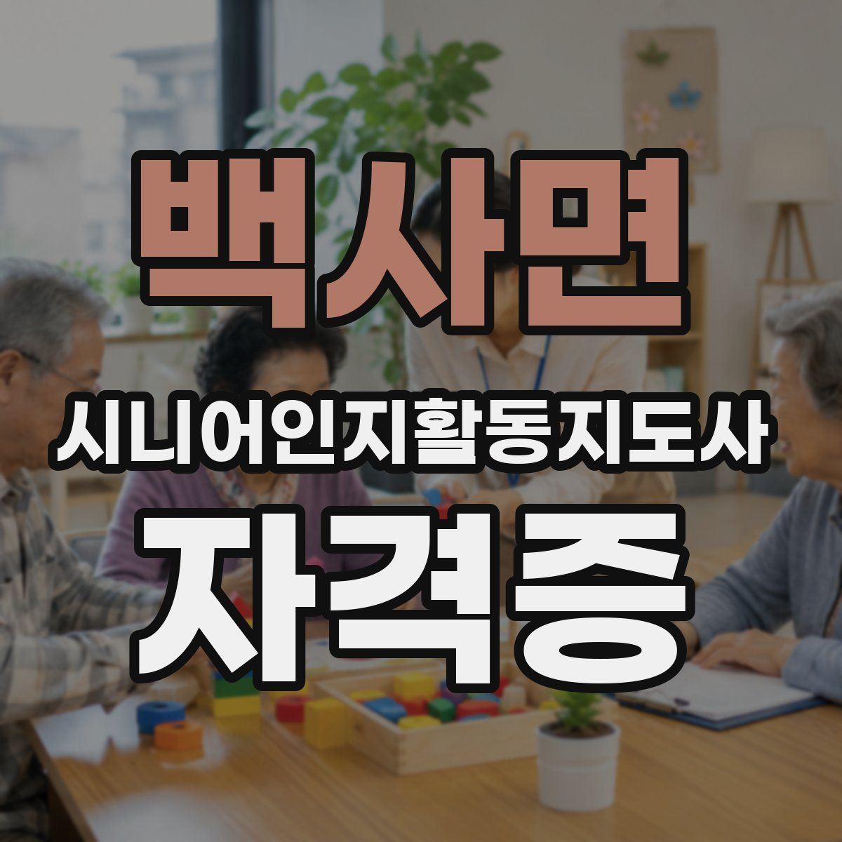 백사면 시니어인지활동지도사 자격증