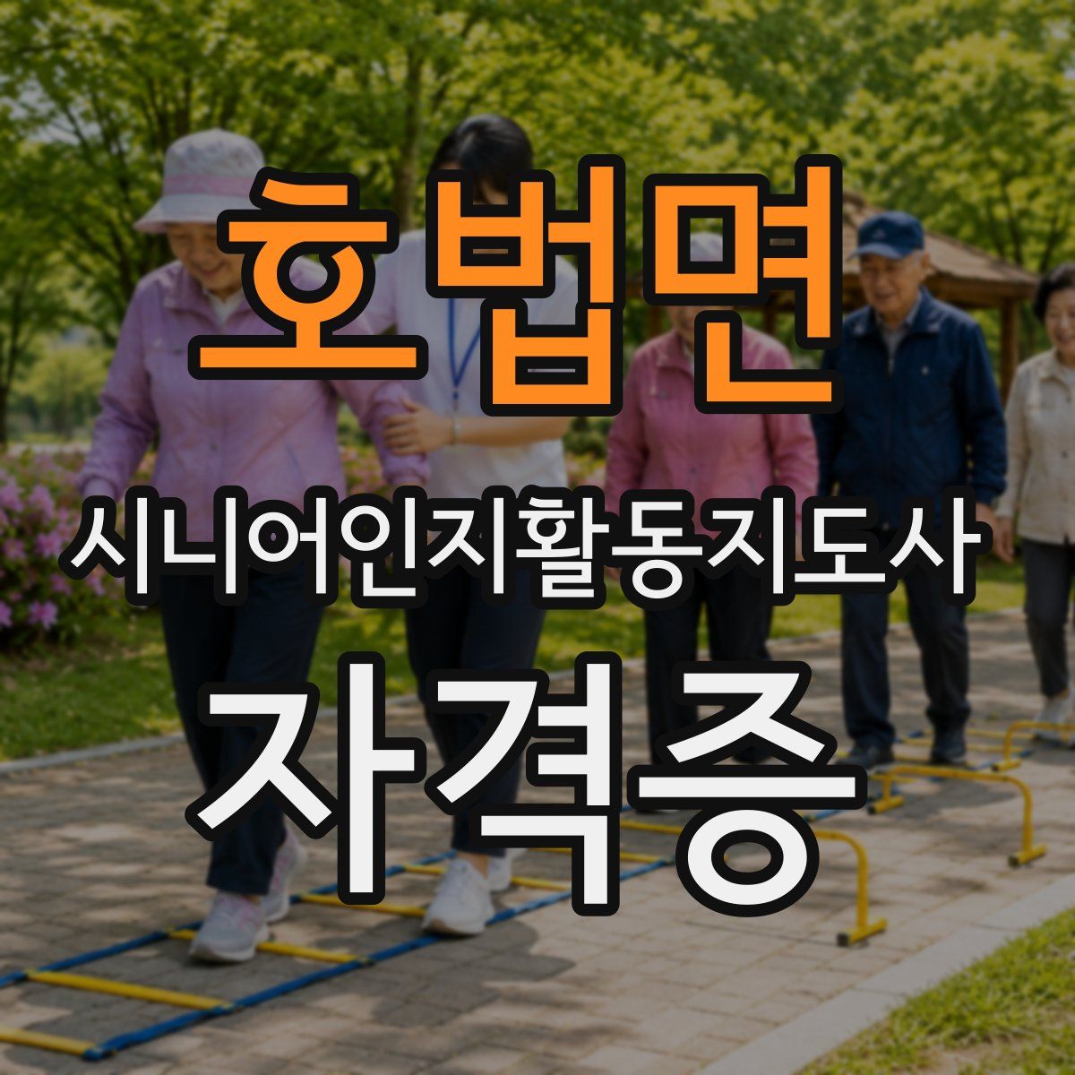 호법면 시니어인지활동지도사 자격증