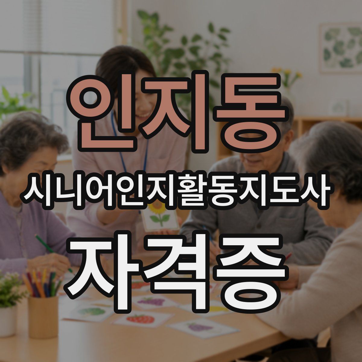 인지동 시니어인지활동지도사 자격증