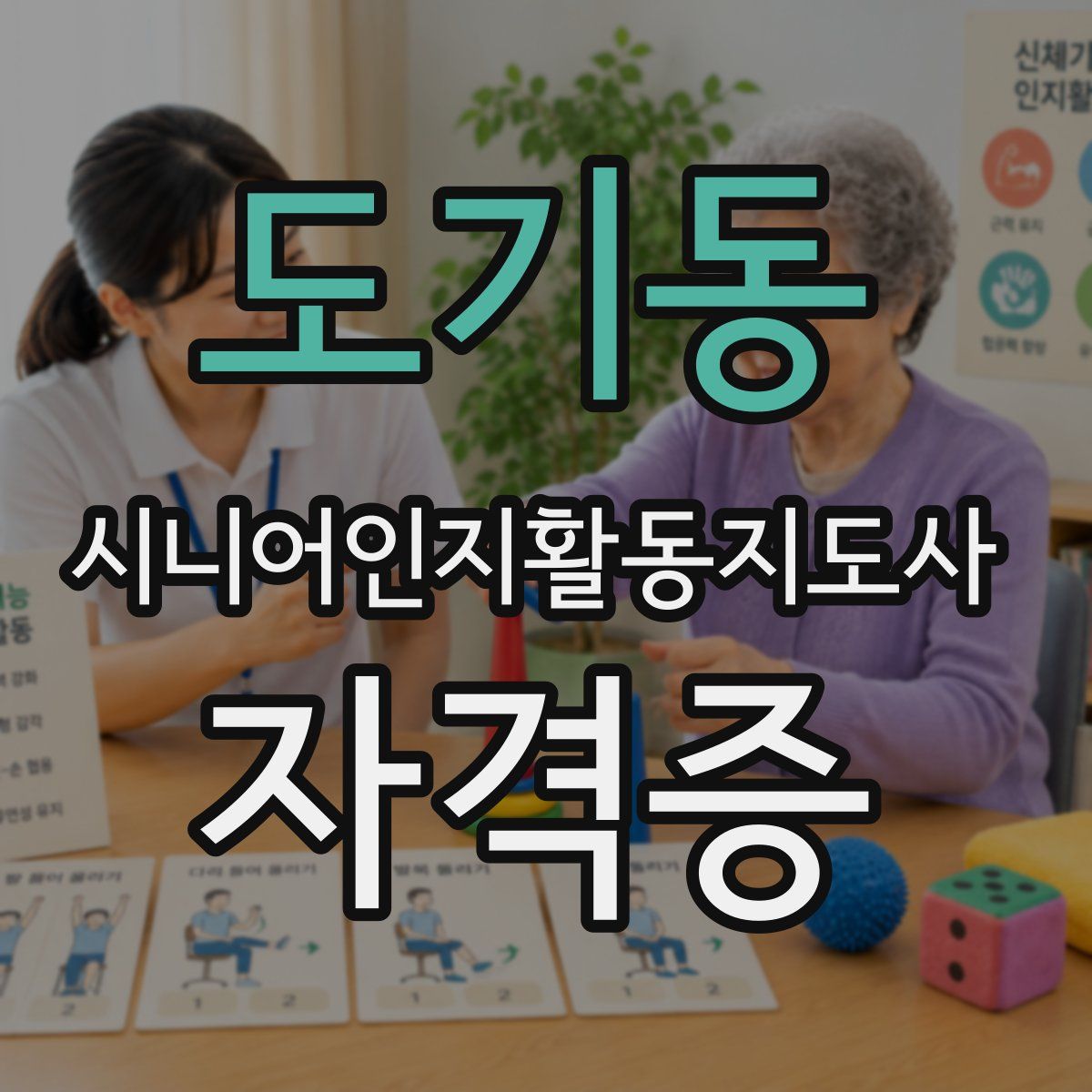 도기동 시니어인지활동지도사 자격증