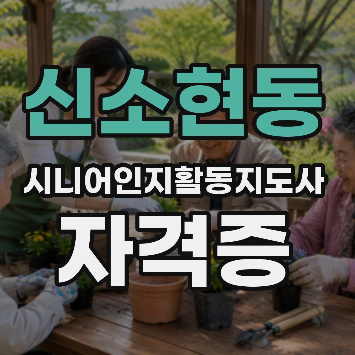 신소현동 시니어인지활동지도사 자격증