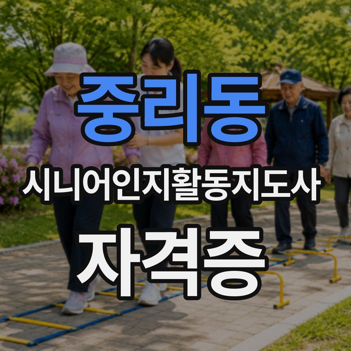 중리동 시니어인지활동지도사 자격증