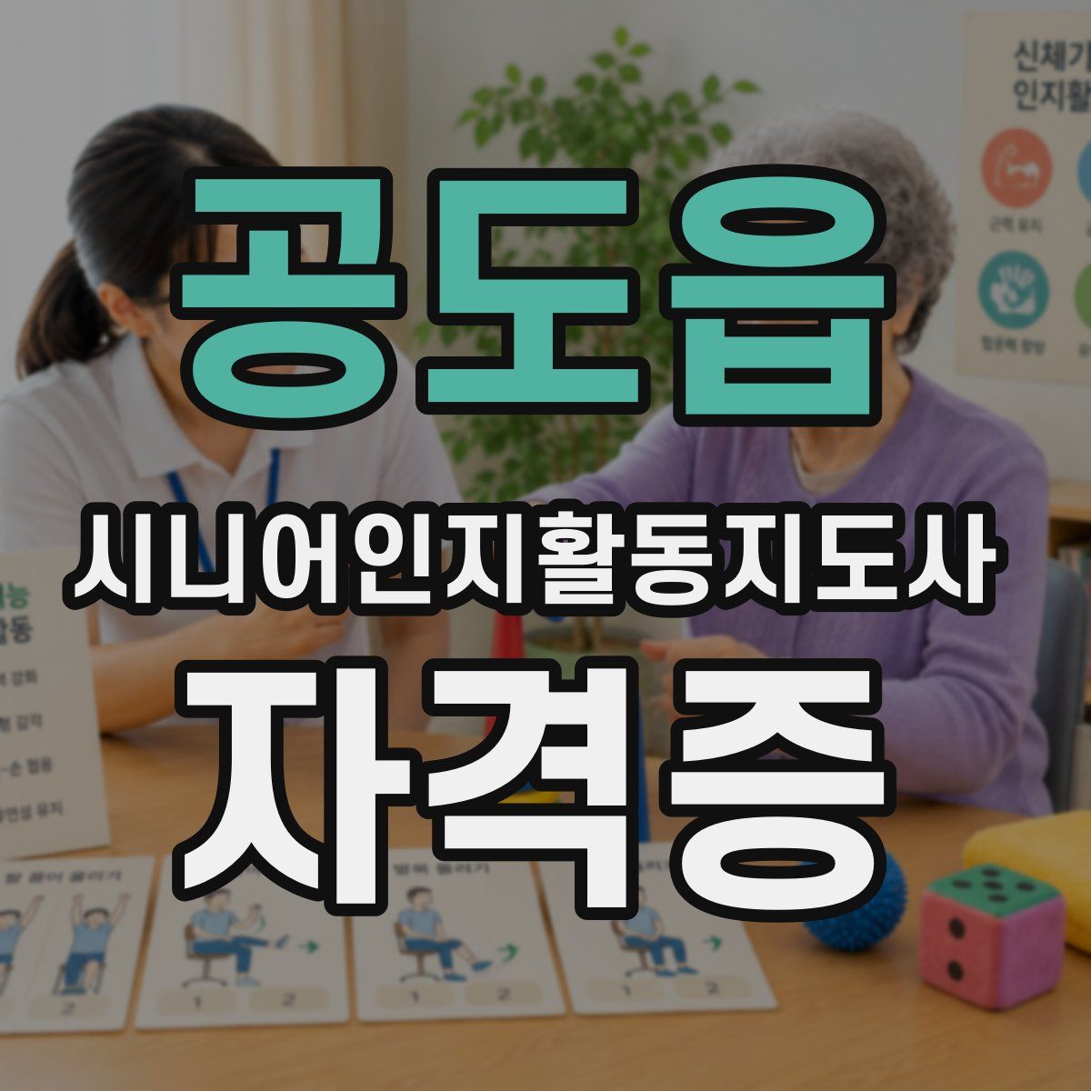 공도읍 시니어인지활동지도사 자격증