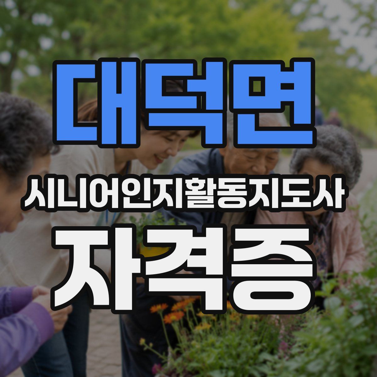 대덕면 시니어인지활동지도사 자격증