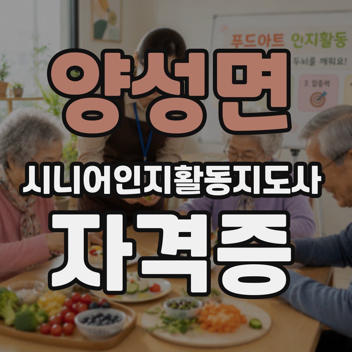 양성면 시니어인지활동지도사 자격증