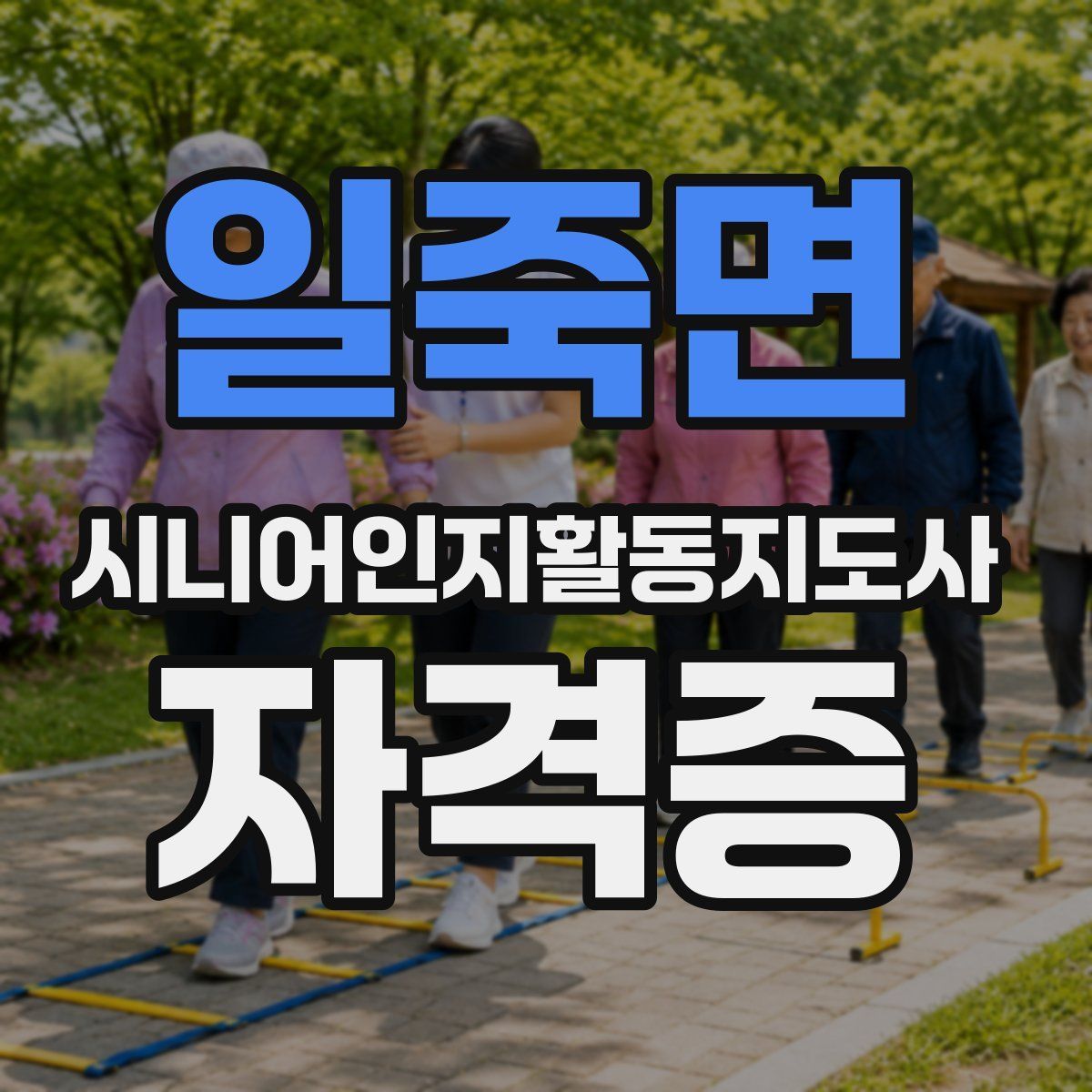 일죽면 시니어인지활동지도사 자격증