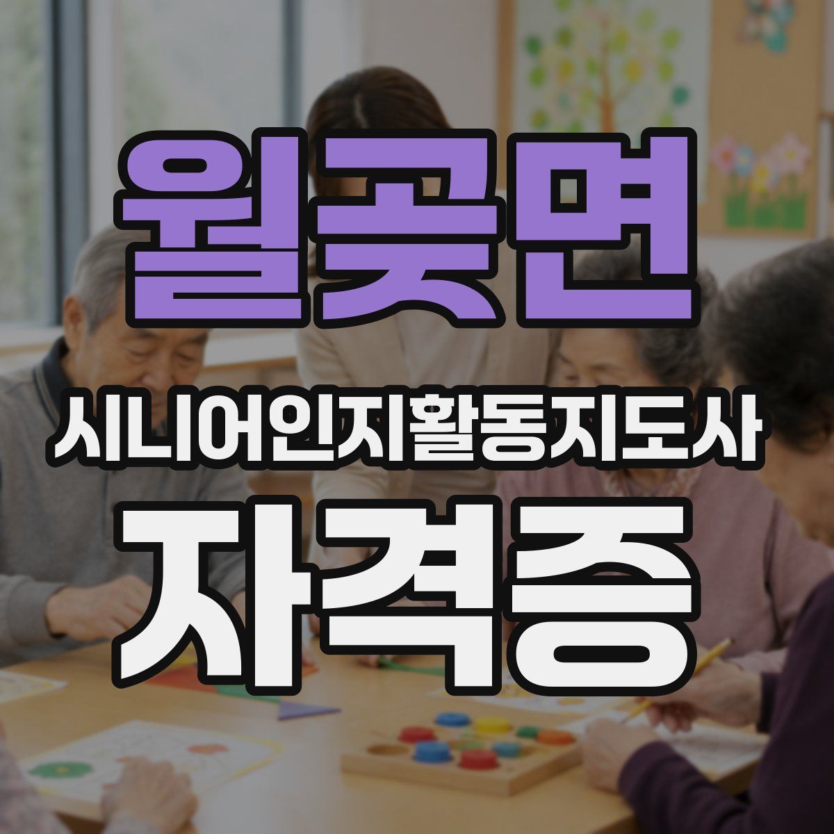 월곶면 시니어인지활동지도사 자격증