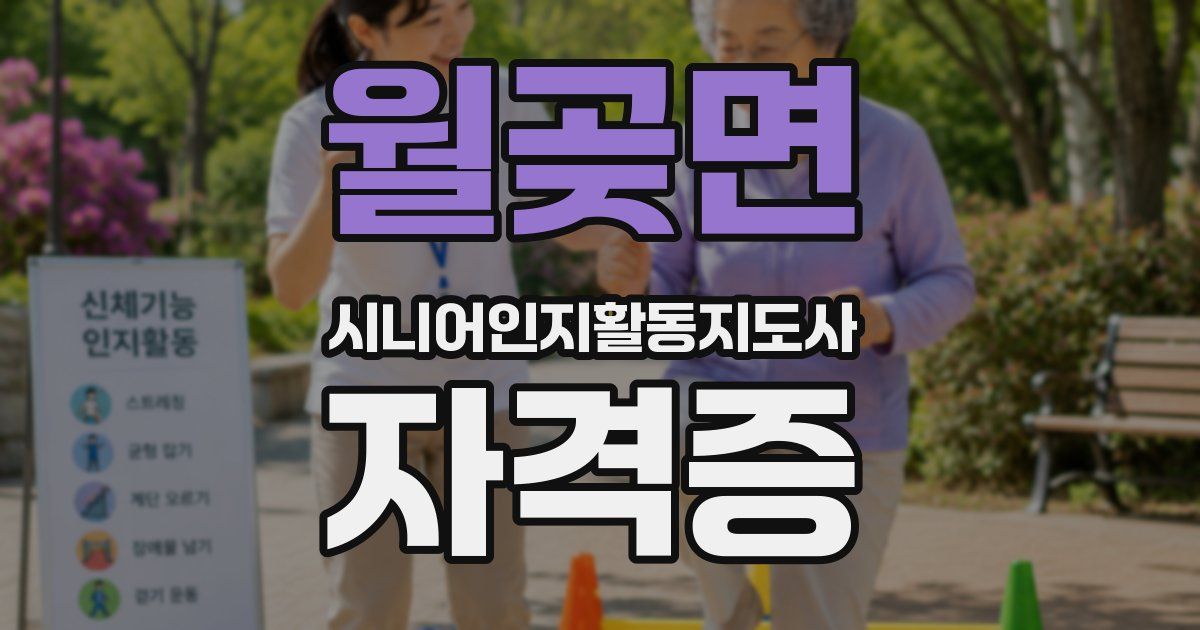 월곶면 시니어인지활동지도사 자격증