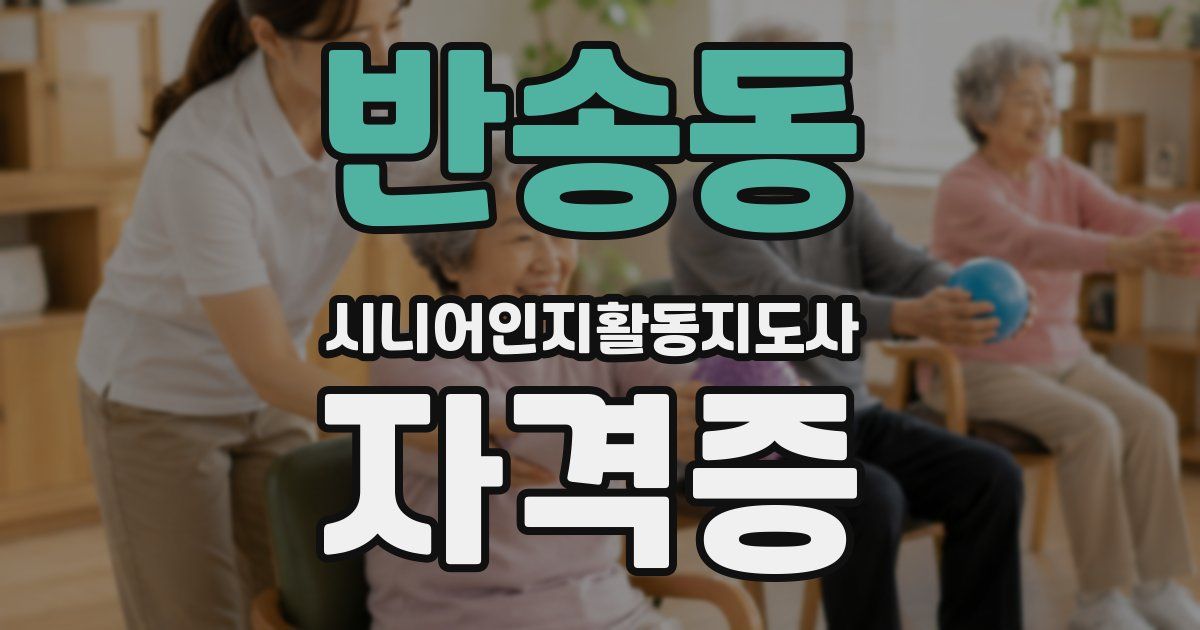 반송동 시니어인지활동지도사 자격증