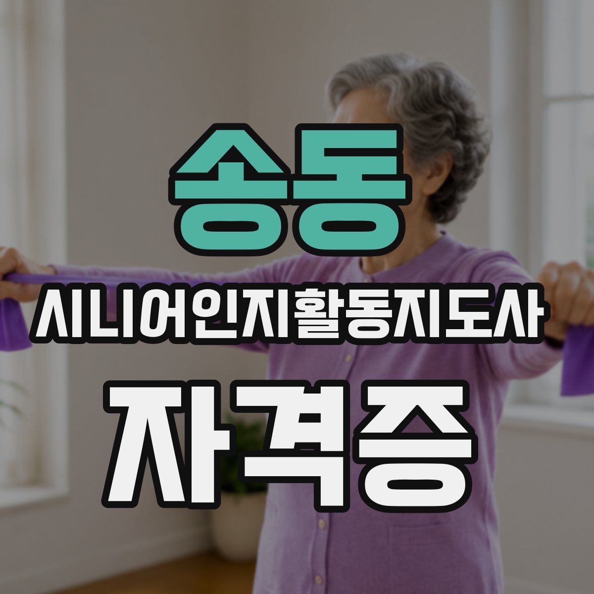 송동 시니어인지활동지도사 자격증