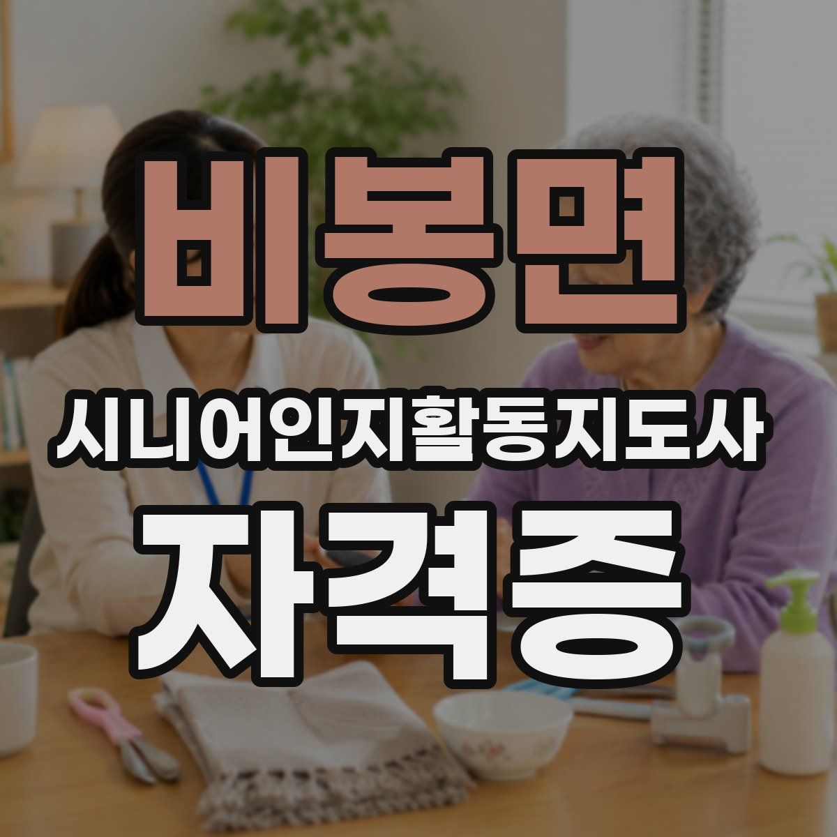 비봉면 시니어인지활동지도사 자격증