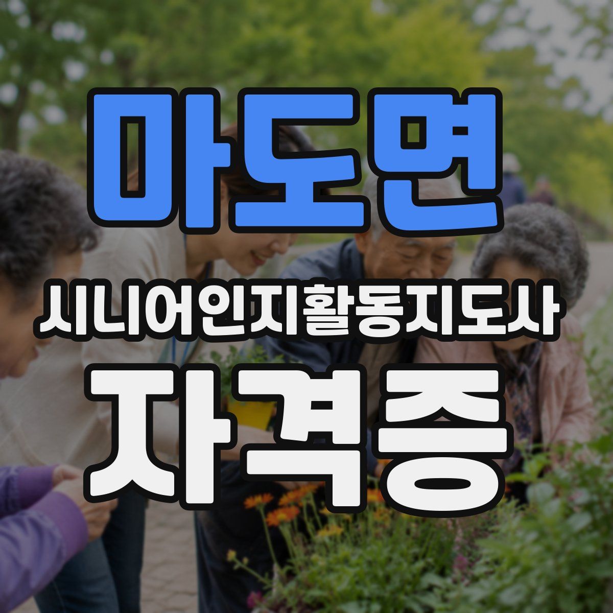 마도면 시니어인지활동지도사 자격증