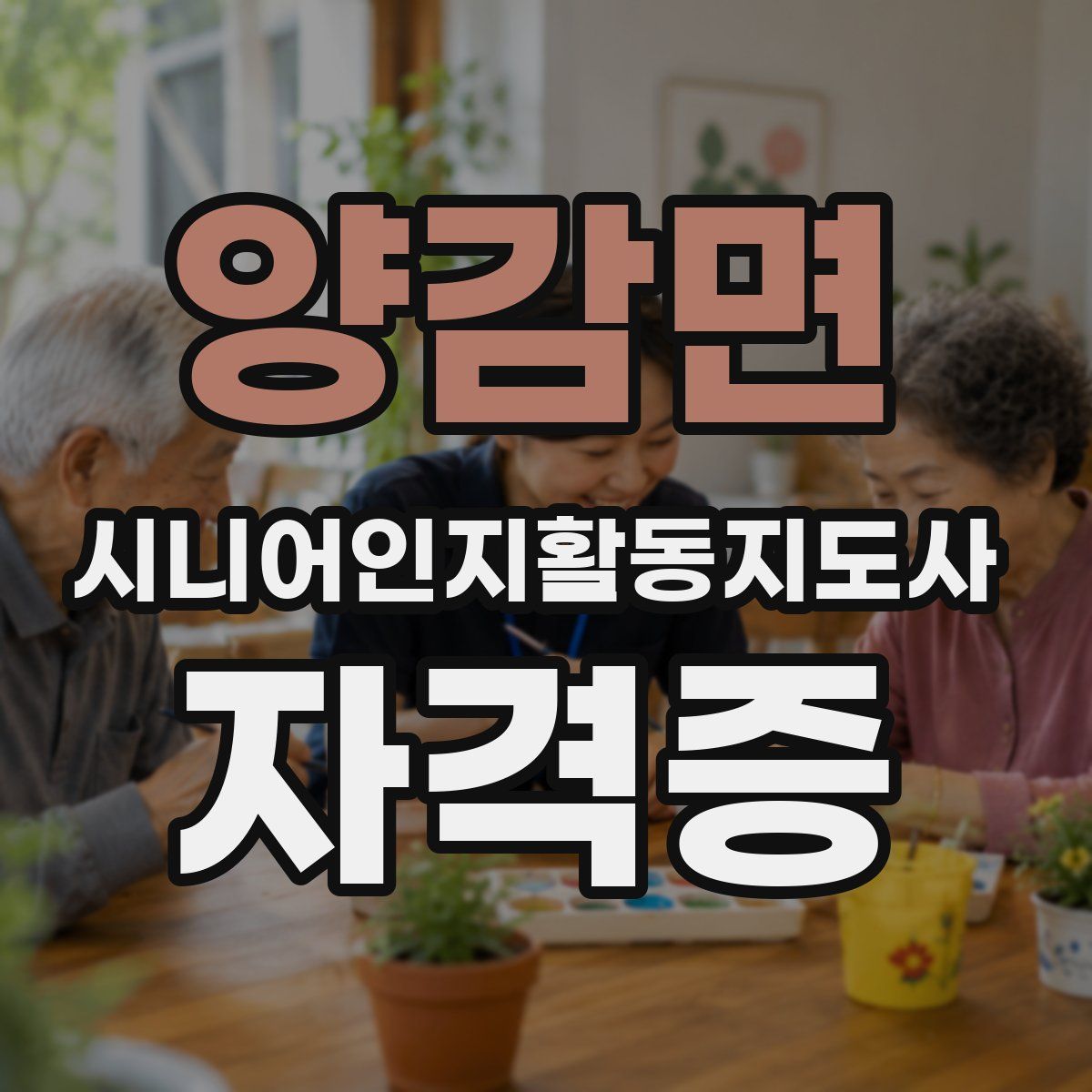 양감면 시니어인지활동지도사 자격증