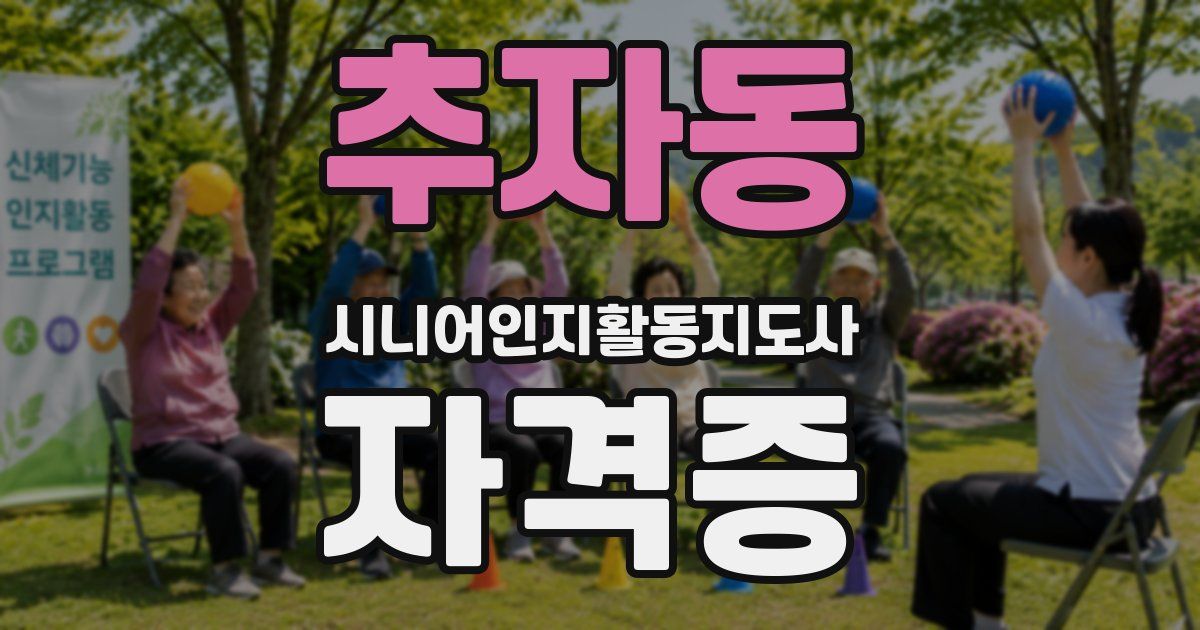 추자동 시니어인지활동지도사 자격증