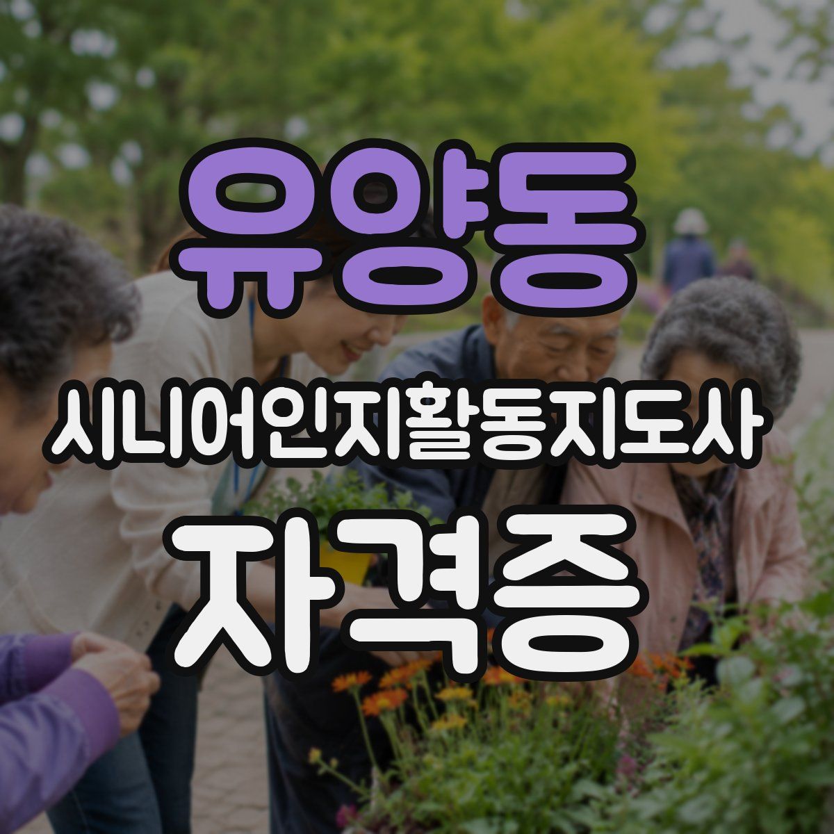 유양동 시니어인지활동지도사 자격증