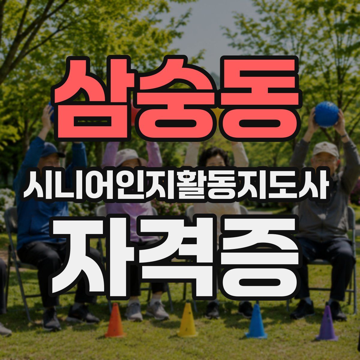 삼숭동 시니어인지활동지도사 자격증