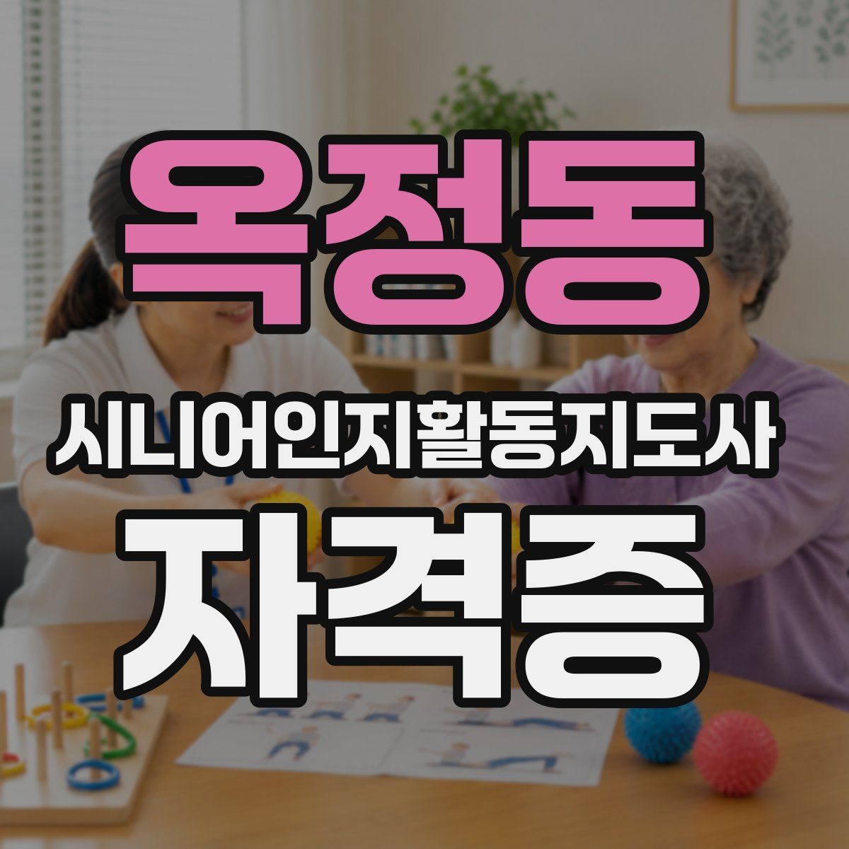 옥정동 시니어인지활동지도사 자격증