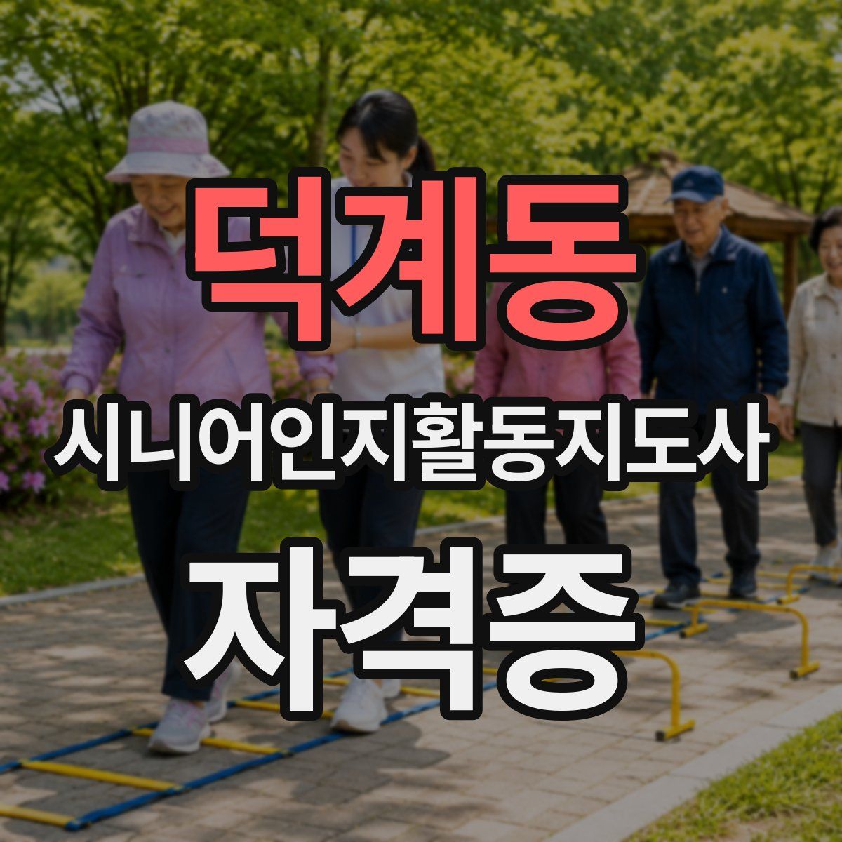 덕계동 시니어인지활동지도사 자격증