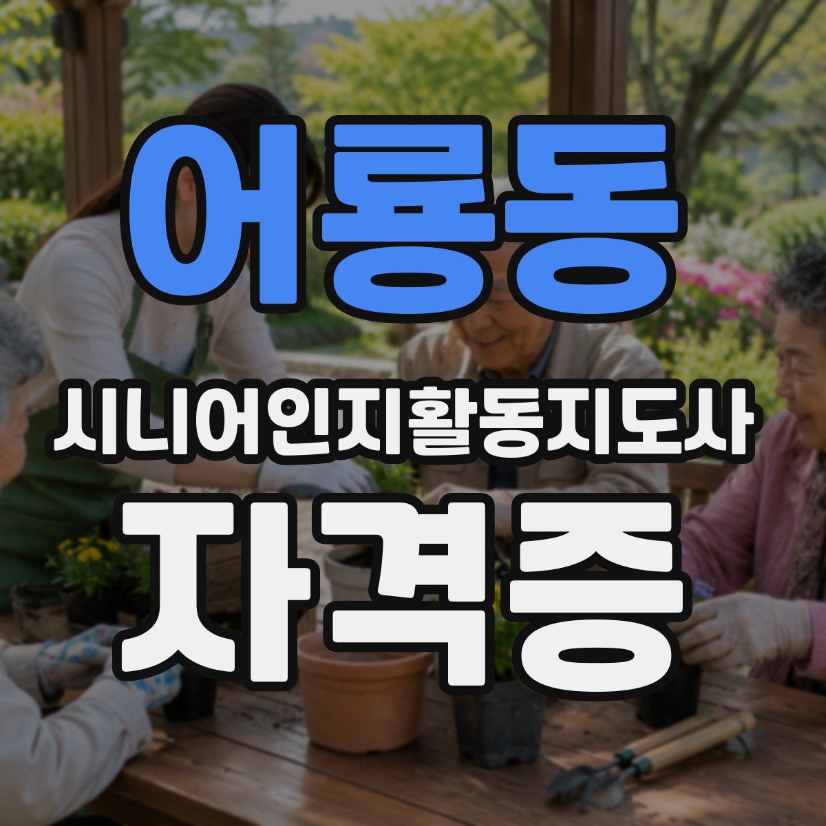 어룡동 시니어인지활동지도사 자격증