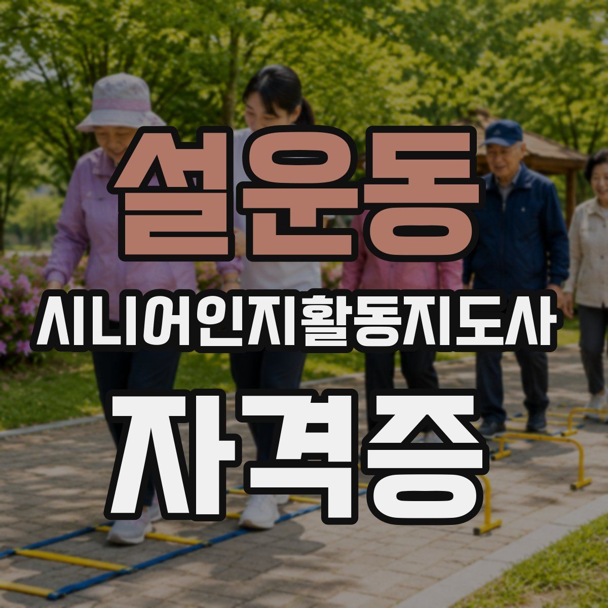 설운동 시니어인지활동지도사 자격증