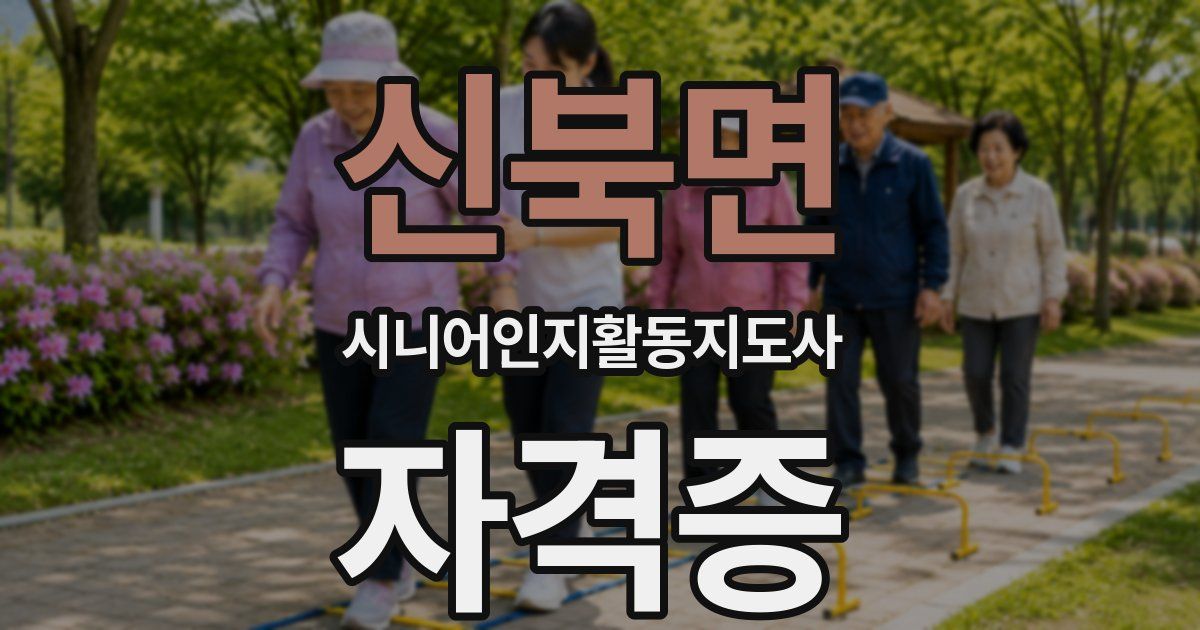 신북면 시니어인지활동지도사 자격증