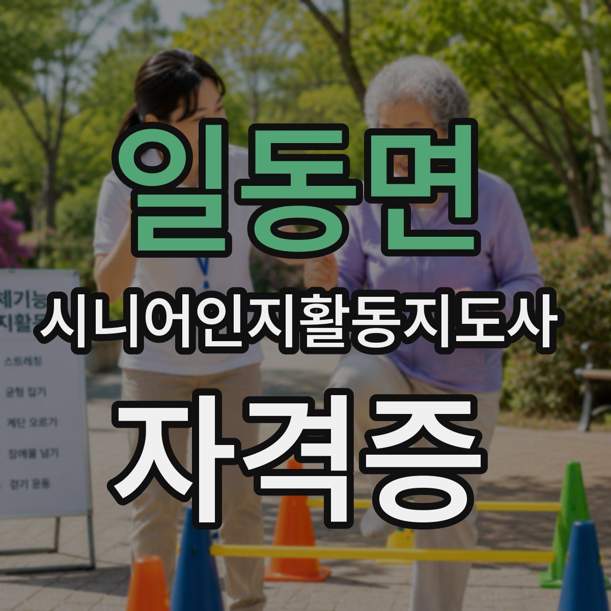 일동면 시니어인지활동지도사 자격증