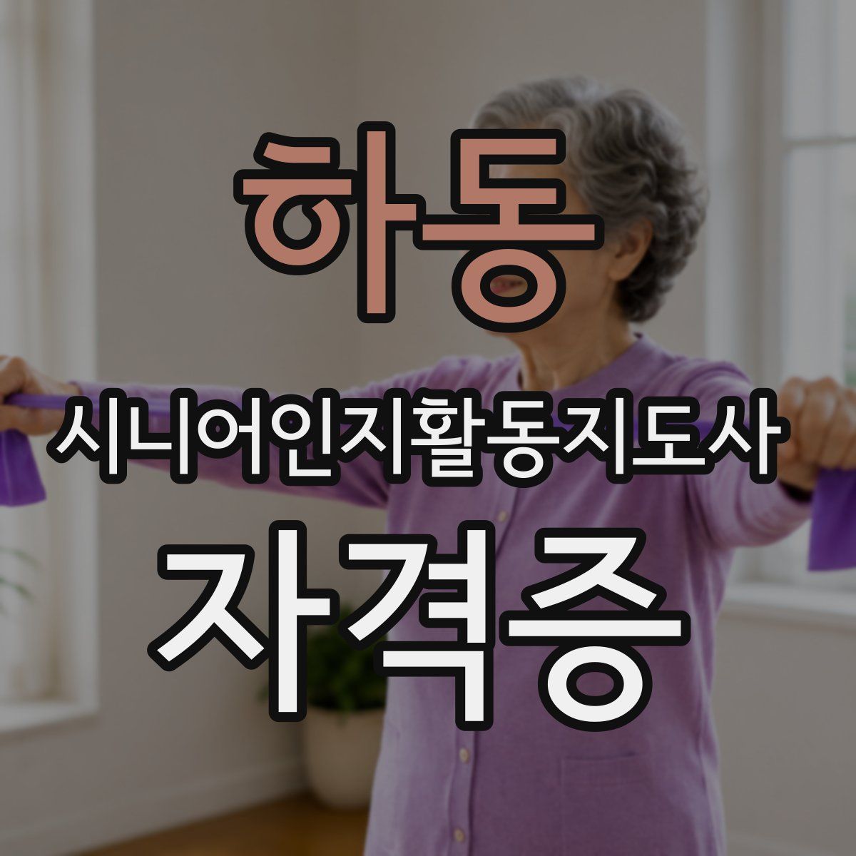 하동 시니어인지활동지도사 자격증