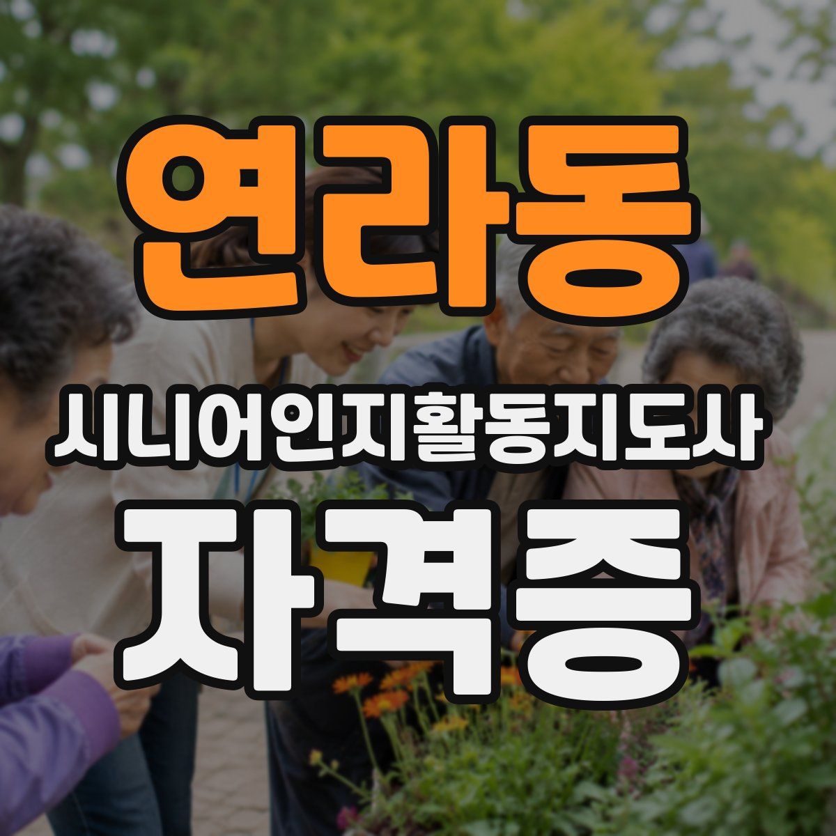 연라동 시니어인지활동지도사 자격증