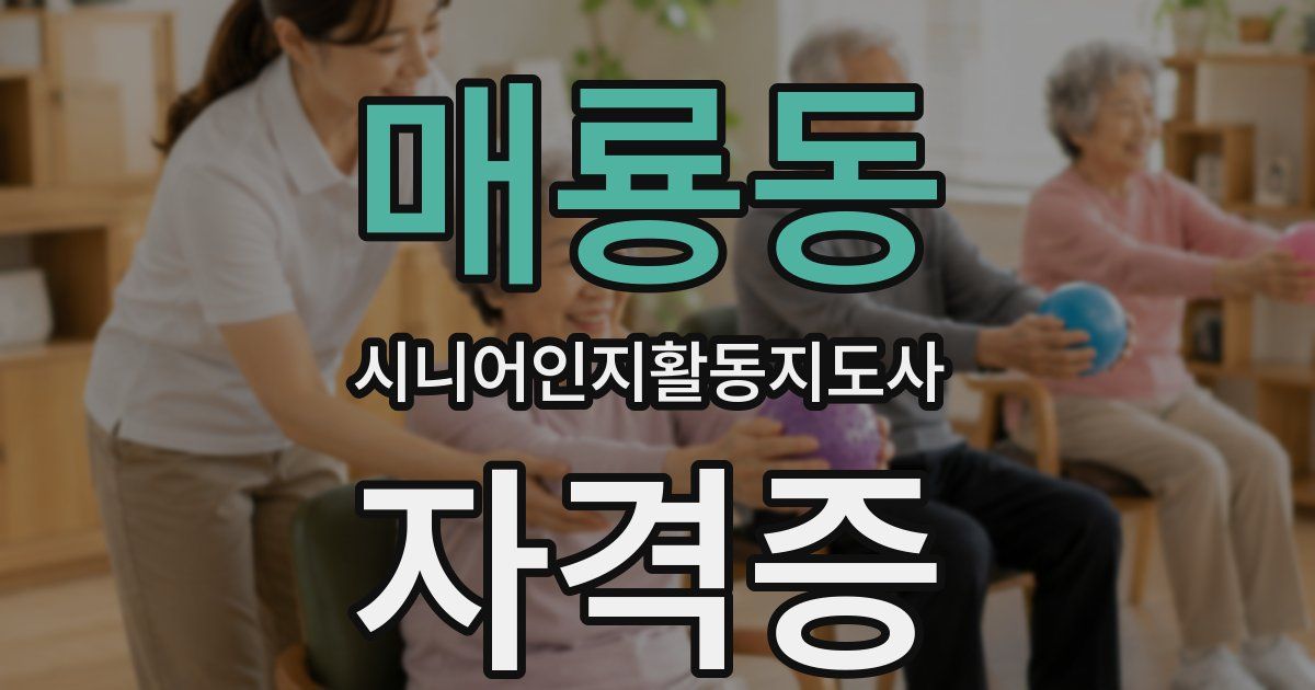 매룡동 시니어인지활동지도사 자격증