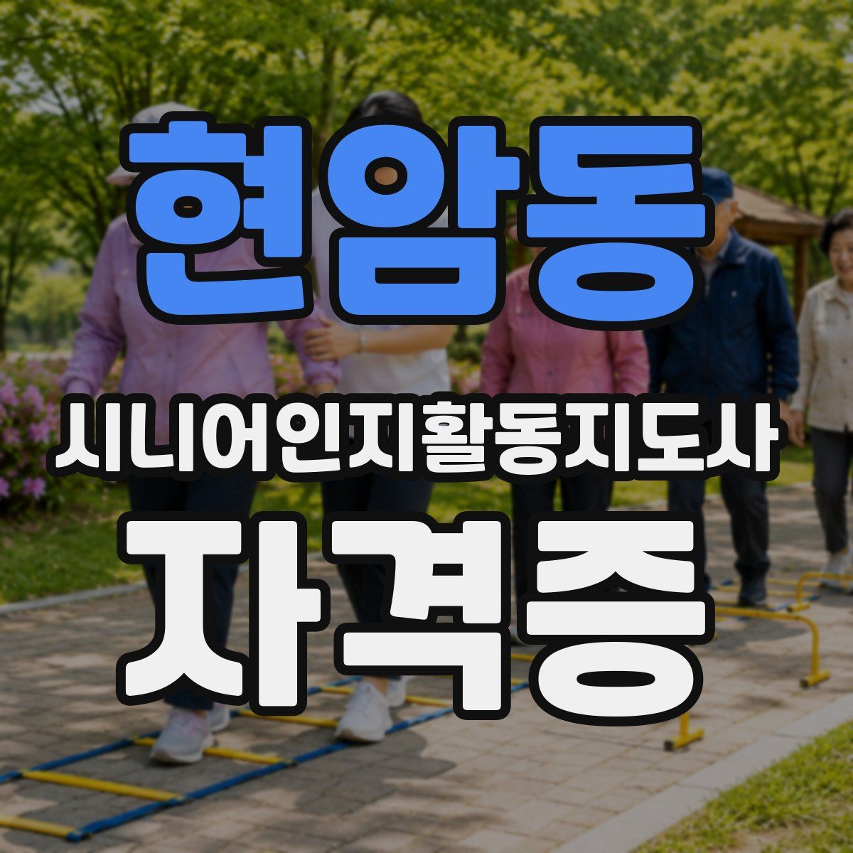 현암동 시니어인지활동지도사 자격증